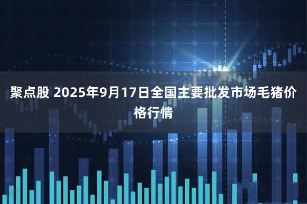聚点股 2025年9月17日全国主要批发市场毛猪价格行情