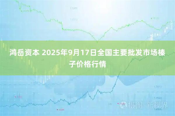鸿岳资本 2025年9月17日全国主要批发市场榛子价格行情