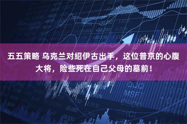 五五策略 乌克兰对绍伊古出手，这位普京的心腹大将，险些死在自己父母的墓前！